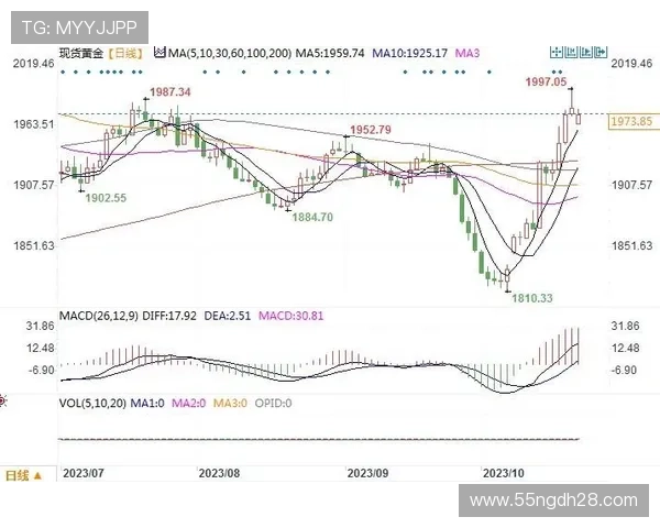 2025年白菜零售价格走势分析与市场影响